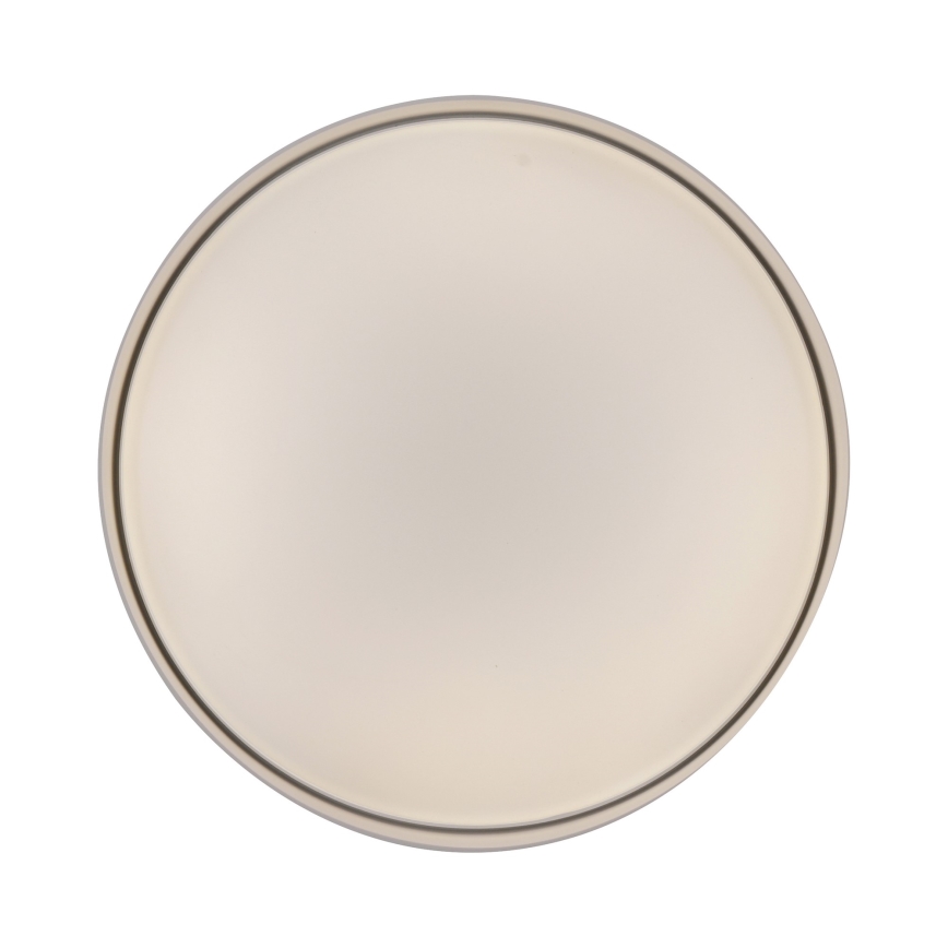 Schöner Wohnen 14594-39 - Plafonnier LED dimmable TAVOLI LED 20 W / 230 V 2700–6500 K Ø 39 cm gris avec télécommande