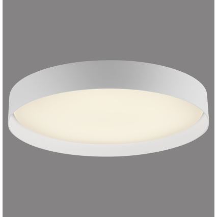 Schöner Wohnen 14595-16 - Plafonnier LED dimmable TAVOLI LED/34W/230V 2700-6500K Ø 49 cm blanc + télécommande