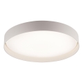 Schöner Wohnen 14595-39 - Plafonnier LED dimmable TAVOLI LED/34W/230V 2700-6500K Ø 49 cm gris + télécommande