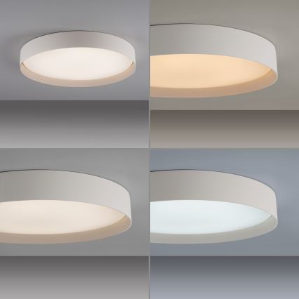 Schöner Wohnen 14595-39 - Plafonnier LED dimmable TAVOLI LED/34W/230V 2700-6500K Ø 49 cm gris + télécommande