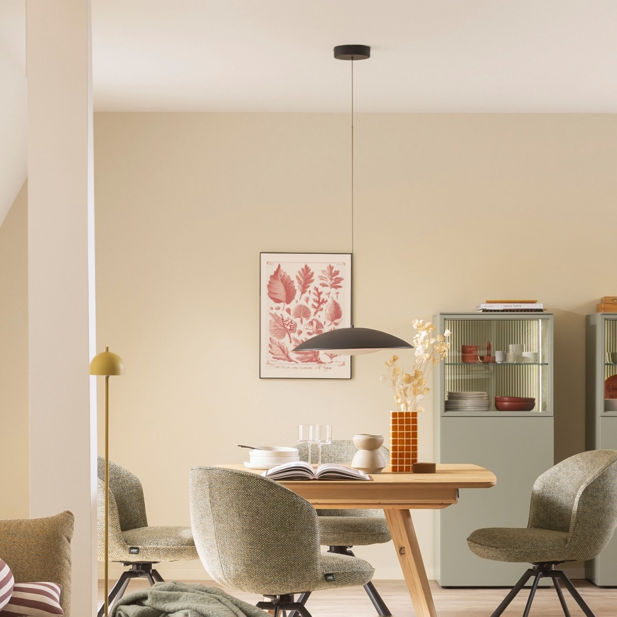 Schöner Wohnen 14606-18 - Suspension LED dimmable sur câble LENTE LED/17W/230V Ø 40 cm noire