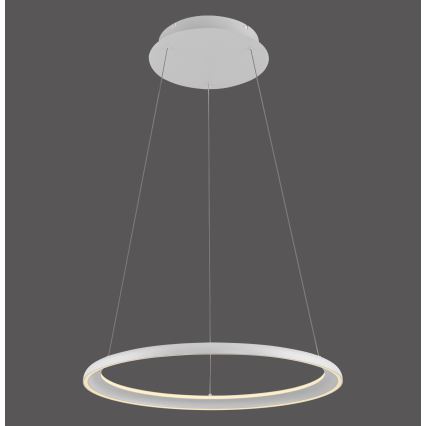 Schöner Wohnen 15570-16 - Suspension dimmable sur câble QUILLO LED/36W/230V Ø 60 cm blanche