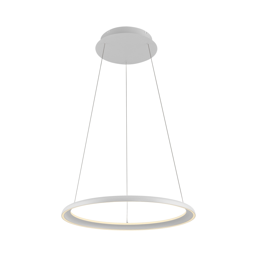 Schöner Wohnen 15570-16 - Suspension dimmable sur câble QUILLO LED/36W/230V Ø 60 cm blanche