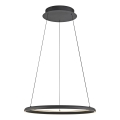 Schöner Wohnen 15570-18 - Suspension LED dimmable sur câble QUILLO LED/36W/230V Ø 60 cm noir