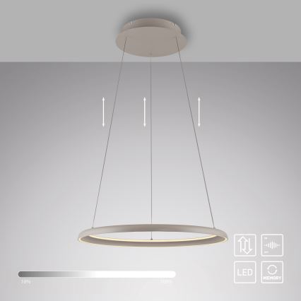Schöner Wohnen 15570-39 - Suspension LED dimmable sur câble QUILLO LED/36W/230V Ø 60 cm gris