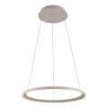 Schöner Wohnen 15570-39 - Suspension LED dimmable sur câble QUILLO LED/36W/230V Ø 60 cm gris