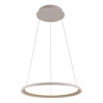 Schöner Wohnen 15570-39 - Suspension LED dimmable sur câble QUILLO LED/36W/230V Ø 60 cm gris