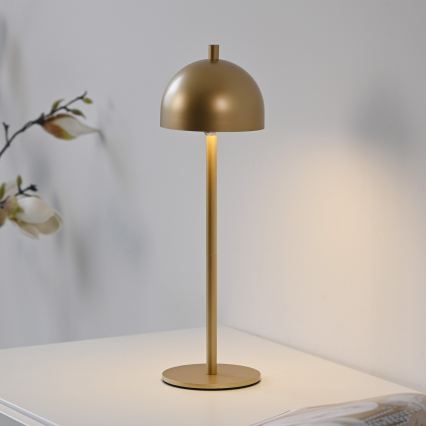 Schöner Wohnen 19244-12 - Lampe de table d'extérieur LED tactile et rechargeable BELLIS, à intensité réglable, LED/2,5W/5V 2600 mAh IP54, dorée