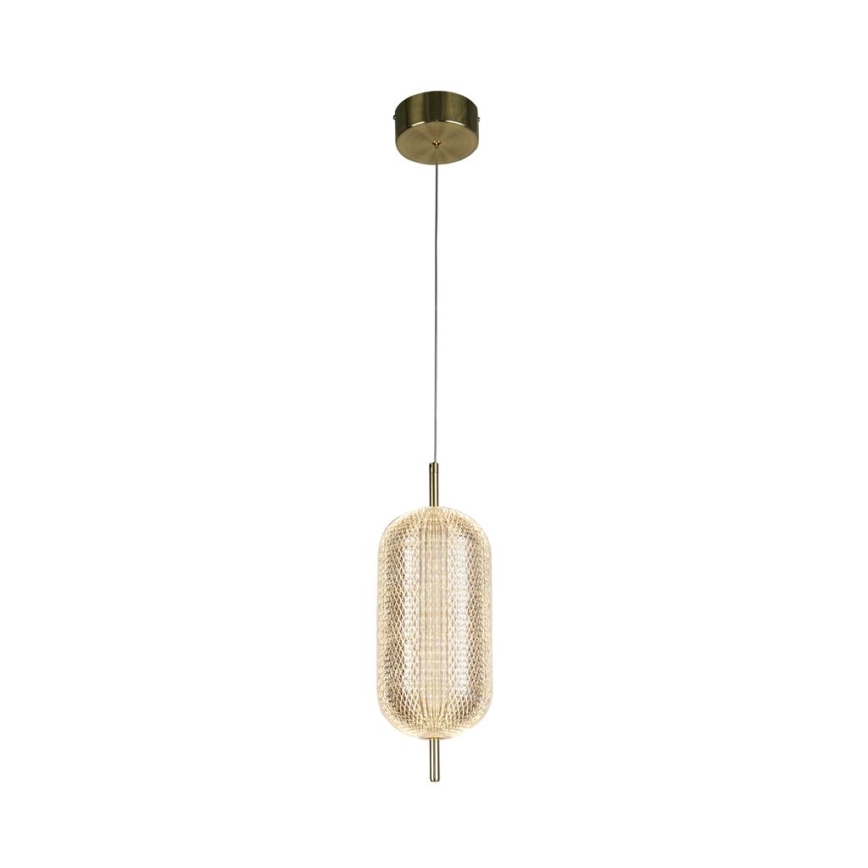 Searchlight - Suspension LED sur câble CAPSULE LED/19W/230V