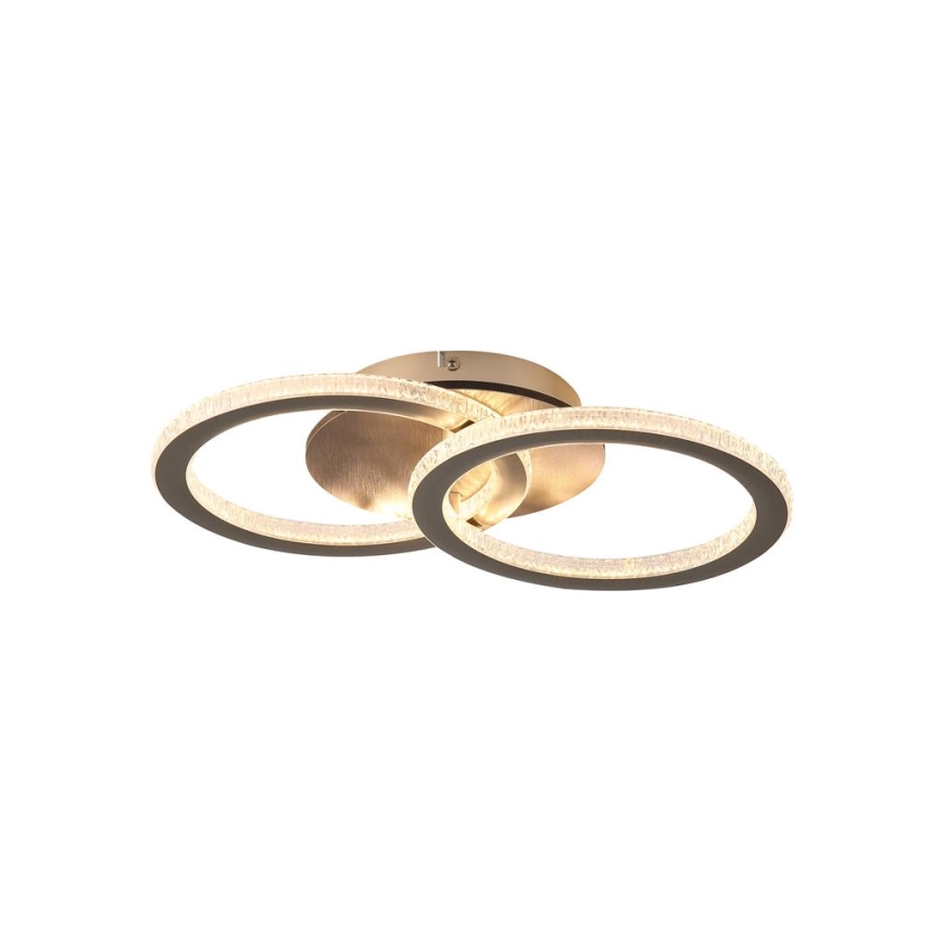 Searchlight - Plafonnier LED dimmable SPECS LED/24W/230V 3000K 25x42,5 cm