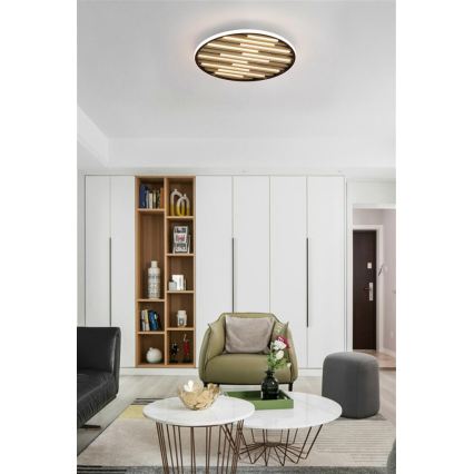 Searchlight - Plafonnier LED dimmable EQUALISE LED/33W/230V