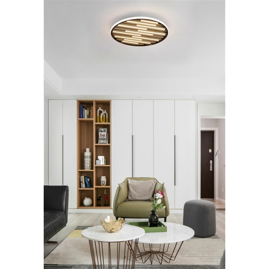 Searchlight - Plafonnier LED dimmable EQUALISE LED/33W/230V