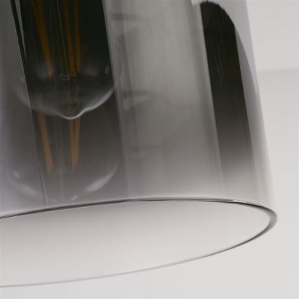 Searchlight - Plafonnier SWEDEN 1xE27/60W/230V Ø 22 cm noir/fumé