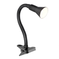 Searchlight - Lampe de table DESK 1xE14/40W/230V