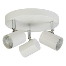 Searchlight - Spot LED ROLLO 3xLED/4W/230V blanc