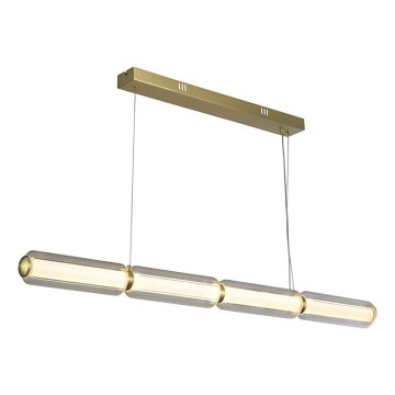 Searchlight - Suspension LED sur câble MOD LED/26W/230V