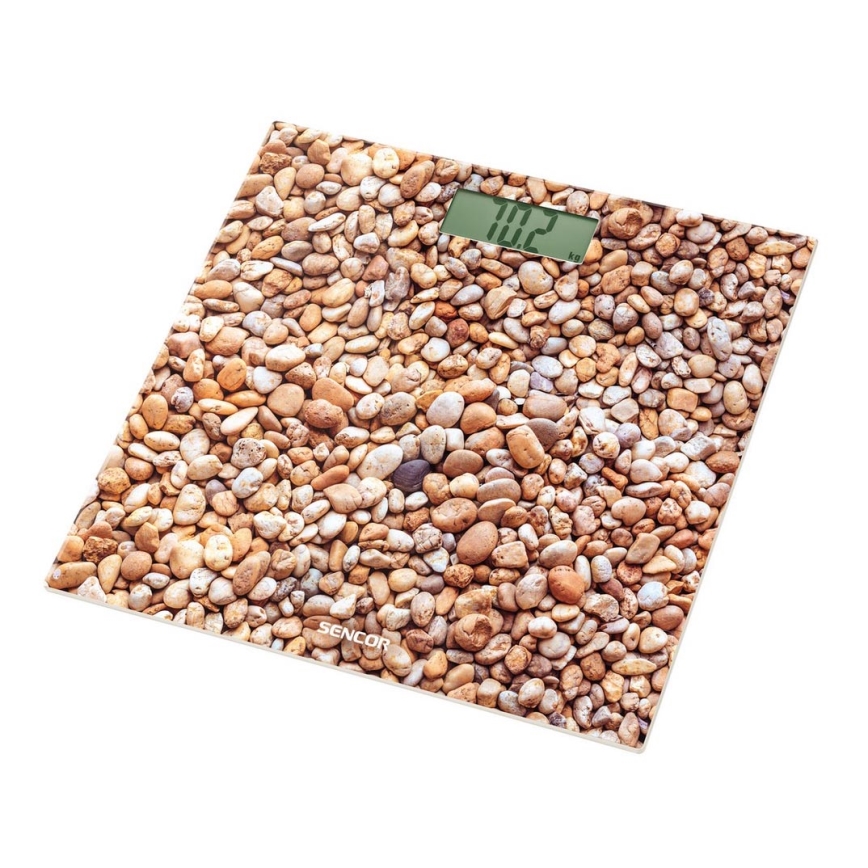 Sencor - Pèse-personne numérique avec écran LCD 1xCR2032