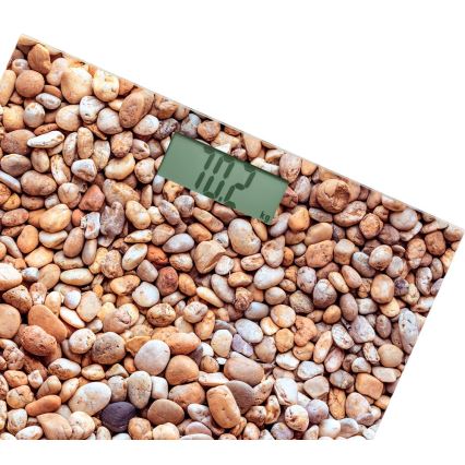 Sencor - Pèse-personne numérique avec écran LCD 1xCR2032