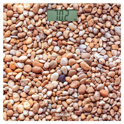 Sencor - Pèse-personne numérique avec écran LCD 1xCR2032