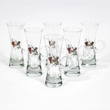 Service 6x verre à liqueur avec poignée transparent avec motif de bouquet de fleurs