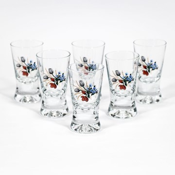 Service 6x verre à shot transparent avec motif de bouquet de fleurs