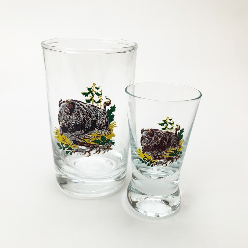 Service x6 verre plus grand et x6 verre à shot plus petit transparent avec motif d'animaux