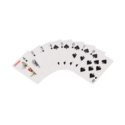 Set de poker dans une mallette, 100 pièces