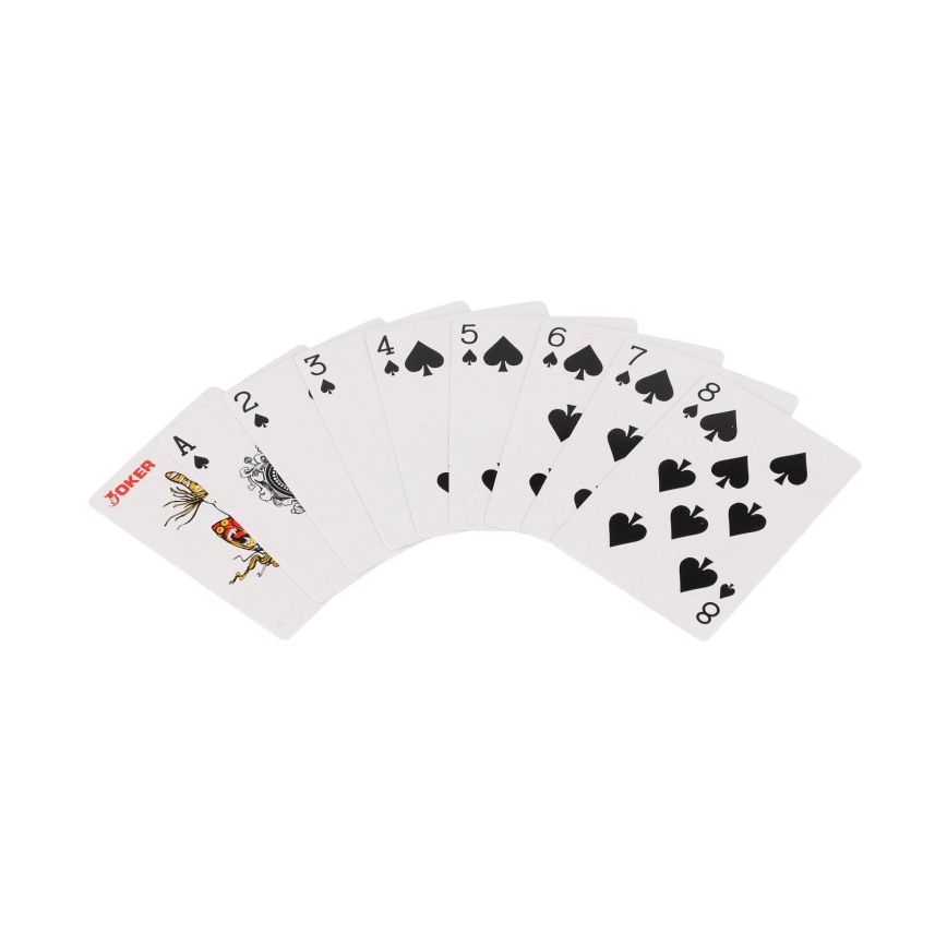 Set de poker dans une mallette, 100 pièces