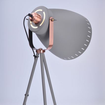 Lampadaire LED 1xE27/8W/230V gris 145cm