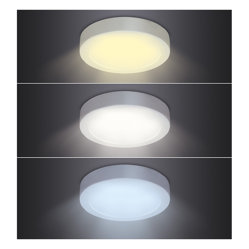 Plafonnier LED/12W/230V 3000/4000/6000K Ø 17 cm blanc