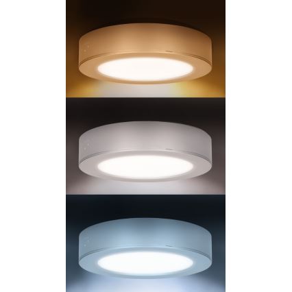 Panneau LED 2 en 1 apparent/encastré LED/12W/230V 3000/4000/6000K Ø17 cm IP54 blanc