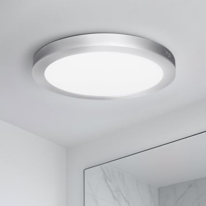 Panneau LED 2 en 1 pour montage en surface ou encastré 24W/230V 3000/4000/6000K Ø 30 cm IP54 argenté