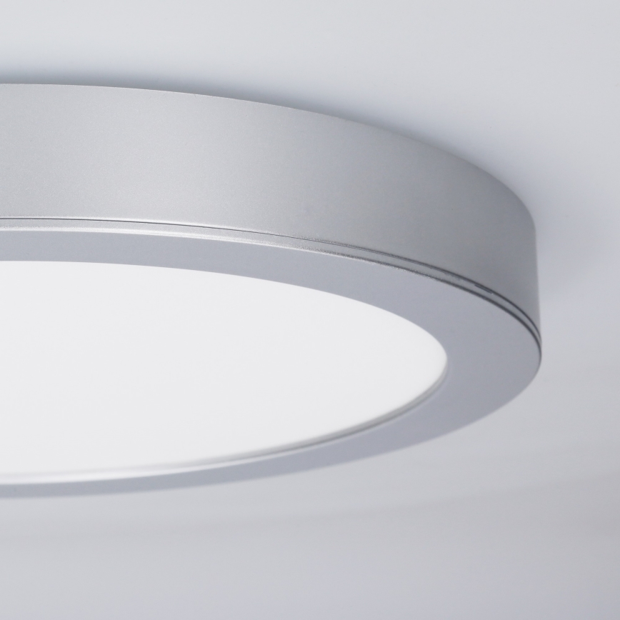 Panneau LED 2 en 1 pour montage en surface ou encastré 24W/230V 3000/4000/6000K Ø 30 cm IP54 argenté