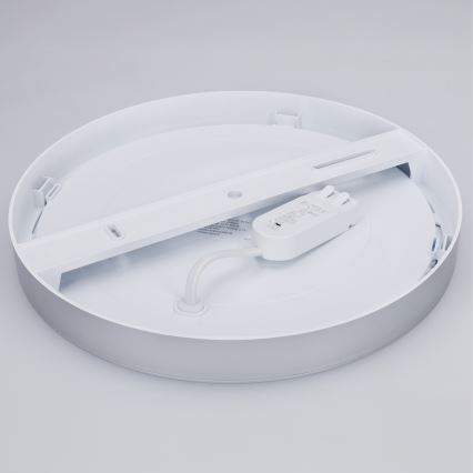 Panneau LED 2 en 1 pour montage en surface ou encastré 24W/230V 3000/4000/6000K Ø 30 cm IP54 argenté