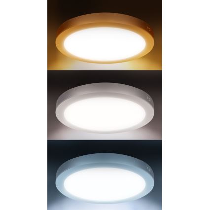 Panneau LED 2 en 1 appliqué/encastré 24W/230V 3000/4000/6000K Ø 30 cm IP54 blanc