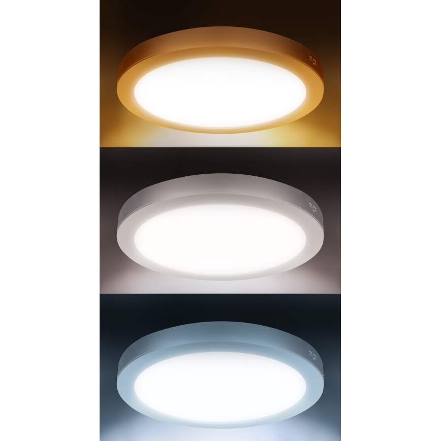 Panneau LED 2 en 1 appliqué/encastré 24W/230V 3000/4000/6000K Ø 30 cm IP54 blanc