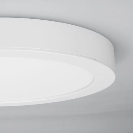 Panneau LED 2 en 1 appliqué/encastré 24W/230V 3000/4000/6000K Ø 30 cm IP54 blanc