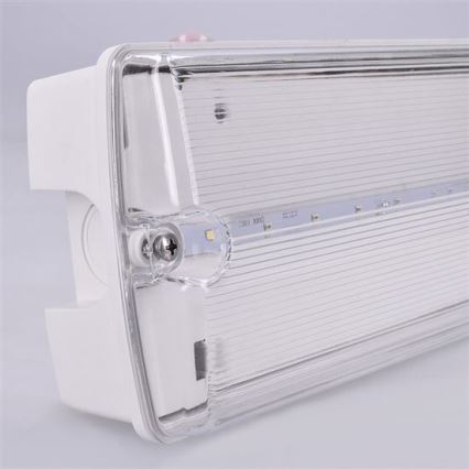 Bloc de secours LED/6W/230V IP65 6500K