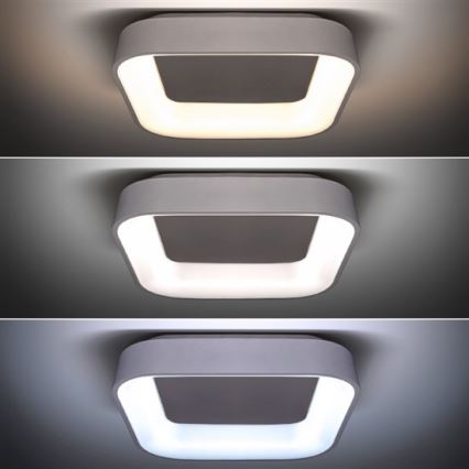 Plafonnier dimmable LED LED/48W/230V + télécommande