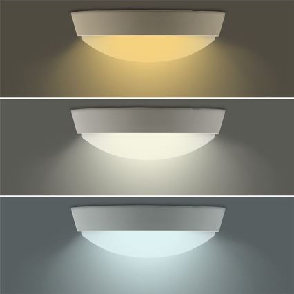 Luminaire extérieur LED à intensité variable  2en1 LED/12W/230V IP54