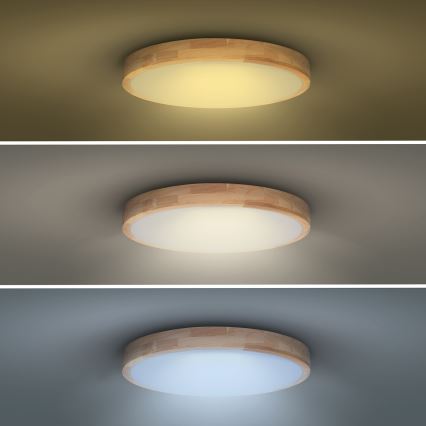 Plafonnier à intensité variable SOLID OAK LED/48W/230V 3000-6500K chêne d. 39 cm + télécommande