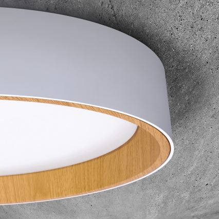 Plafonnier à intensité variable LARIOS LED/48W/230V 3000-6500K d. 39 cm blanc + télécommande