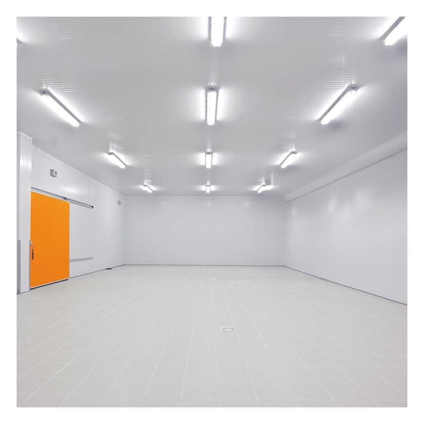 Lumière LED industrielle LED/50W/230V 4000K IP65