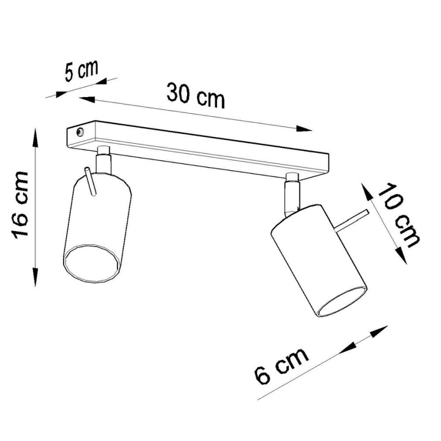 Spot de plafond RING 2xGU10/10W/230V