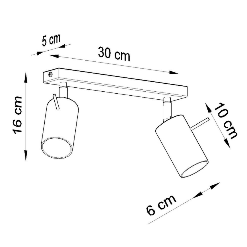 Spot RING 2xGU10/10W/230V