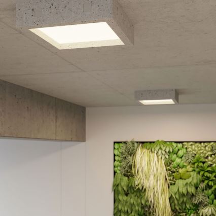 Plafonnier LED RIZA LED/18W/230V béton