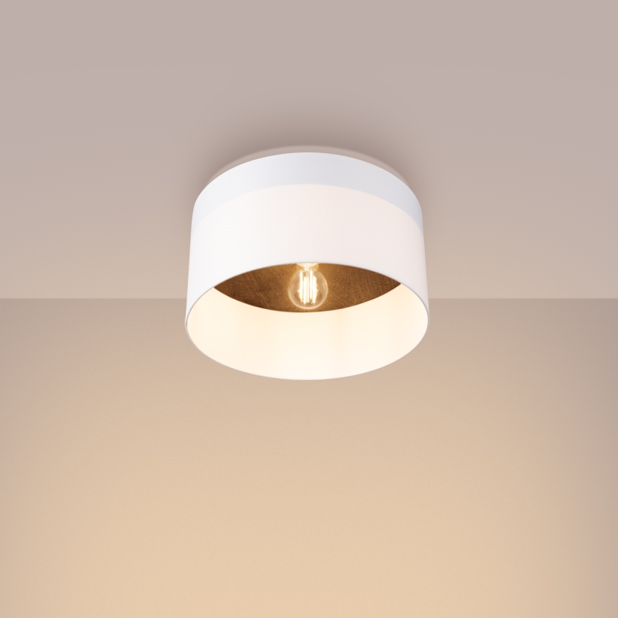 Plafonnier TELESTO 1xE27/15W/230V d. 35 cm blanc/marron