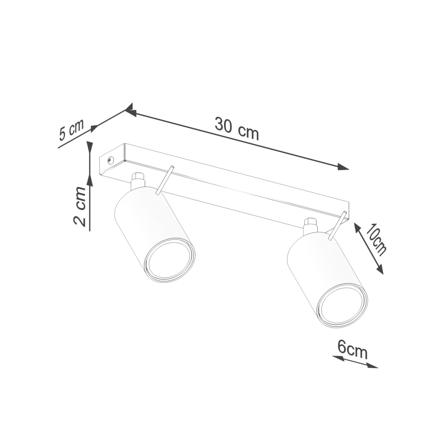 Spot RING 2xGU10/10W/230V vert