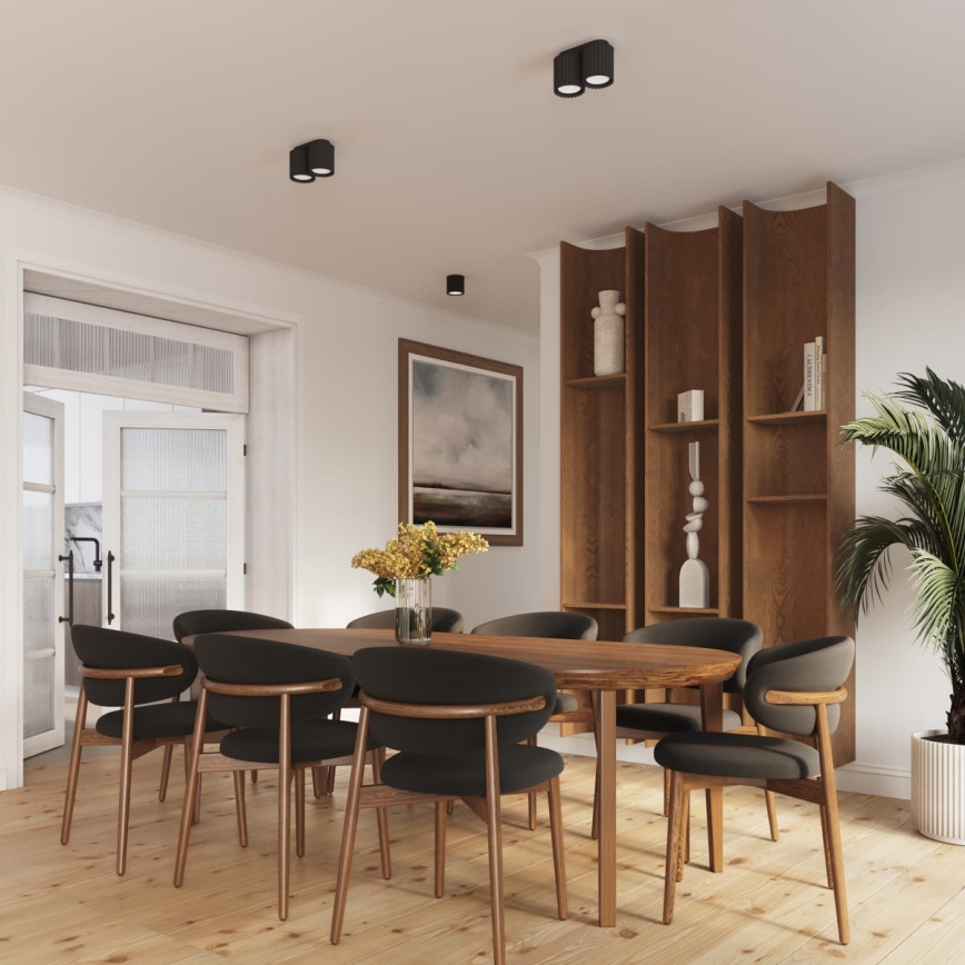 Spot AURA 2xGU10/10W/230V noir