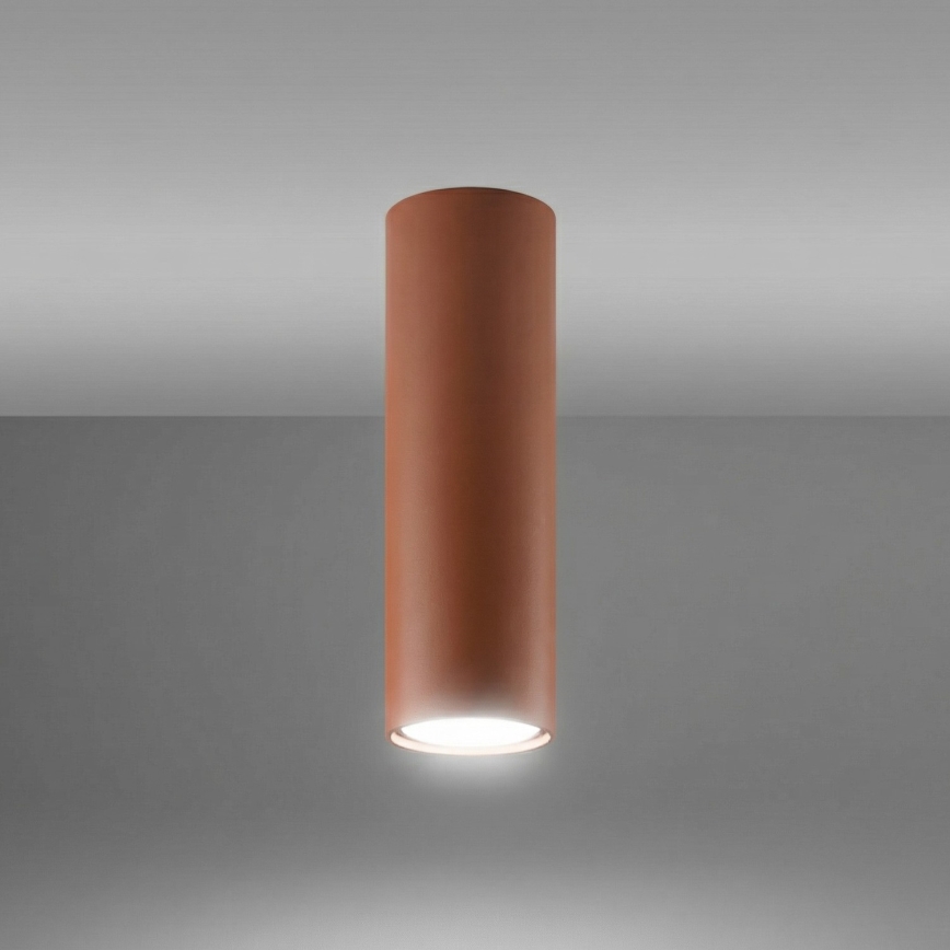 Spot LAGOS 1xGU10/10W/230V 20 cm marron